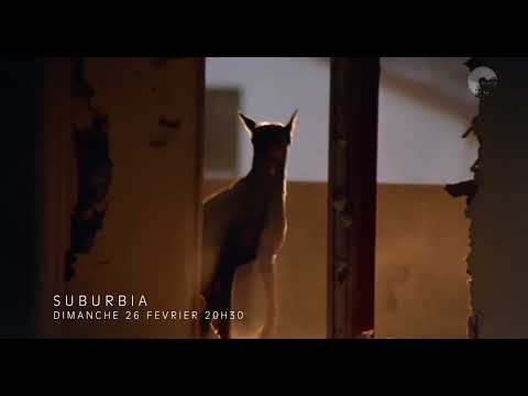 SUBURBIA 1984 - Dog shooting scene