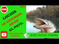 LUCIOS DE DICIEMBRE DESDE EL PATO (FLOAT TUBE)