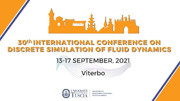DSFD2021 - Technical Session 8 - Advanced Method 3 - virtual room Palma