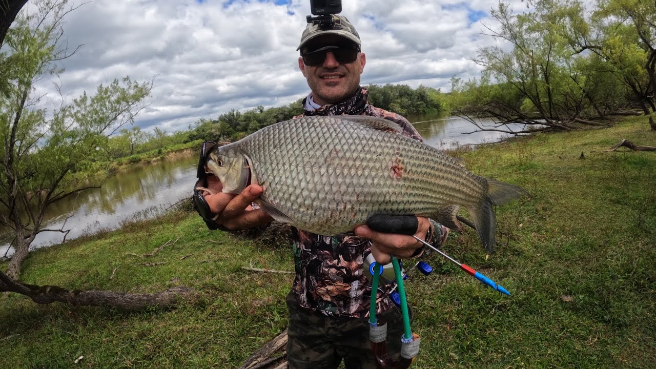 Pesca com estilingue, curimba bruta! 🐟🎣