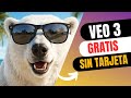 🎥 VEO 3 Ya Está Aquí | Google Te Deja Generar Videos GRATIS con IA