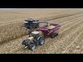 Fendt Ideal  Combine Harvesting Corn near Rankin Illinois