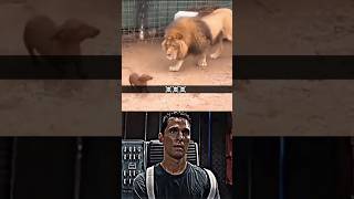 Dog Sad Moments❤️‍🩹 (try not to cry)