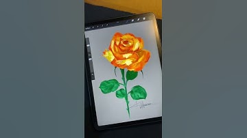 Rose Painting | Digital Art | Procreate | iPad Pro #shorts #youtubeshorts #creatingforindia