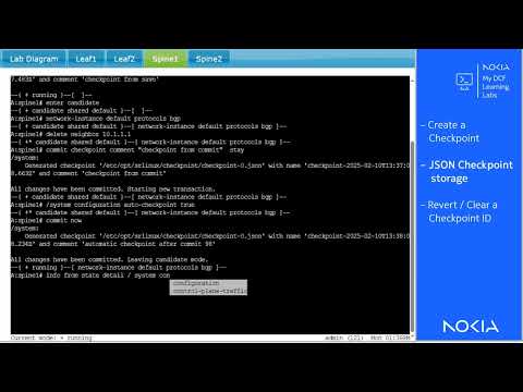 Nokia SR Linux System: Configuration Checkpoints
