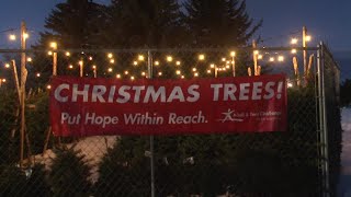 Missoula women's recovery program selling Christmas trees