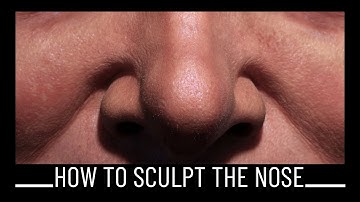 How to sculpt the Nose (Visual Anatomy Explained)