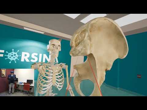 Anatomy of the hip bone - YouTube