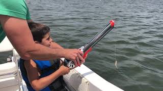 IMG 2533