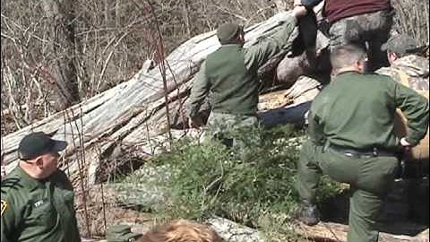 Black Bear Cub Tagging by the PA Game Commission - Spring of 2009