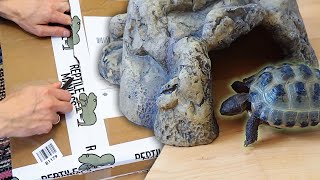 Mauri gets new cave - unboxing tortoise supplies by SnapTinker 2,855 views 7 months ago 2 minutes, 24 seconds