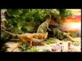 Vé máy bay đi Bắc Kinh
