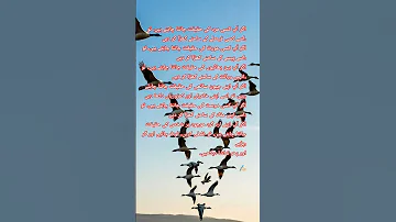 انسان کی اصل حقیقت کب سامنے آتی ہے Quotes Allah 