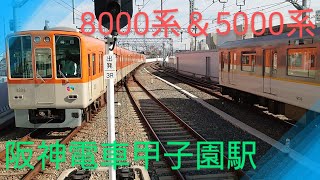 【阪神電車】〜8000系特急大阪梅田行き＆5000系〜