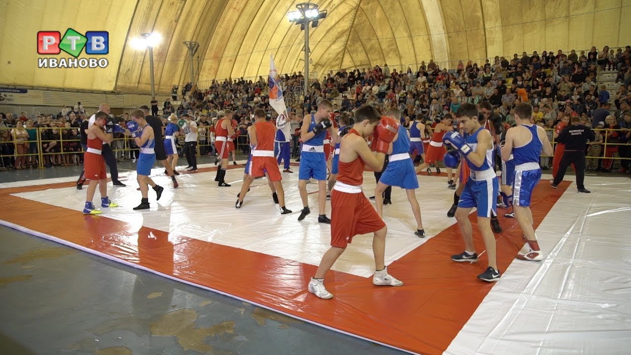 ���������� Vermodje �������: ����.