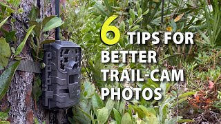 6 Tips for TrailCamera Setup to Get More & Better Deer Photos