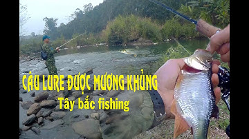 Câu cá mương bằng mồi thìa mini