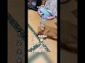 バズネコランキング🐈 #面白い #猫 #かわいい #funny