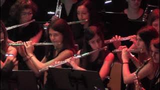 Video Games Live Band - Grasswalk -  Plants VS Zombies