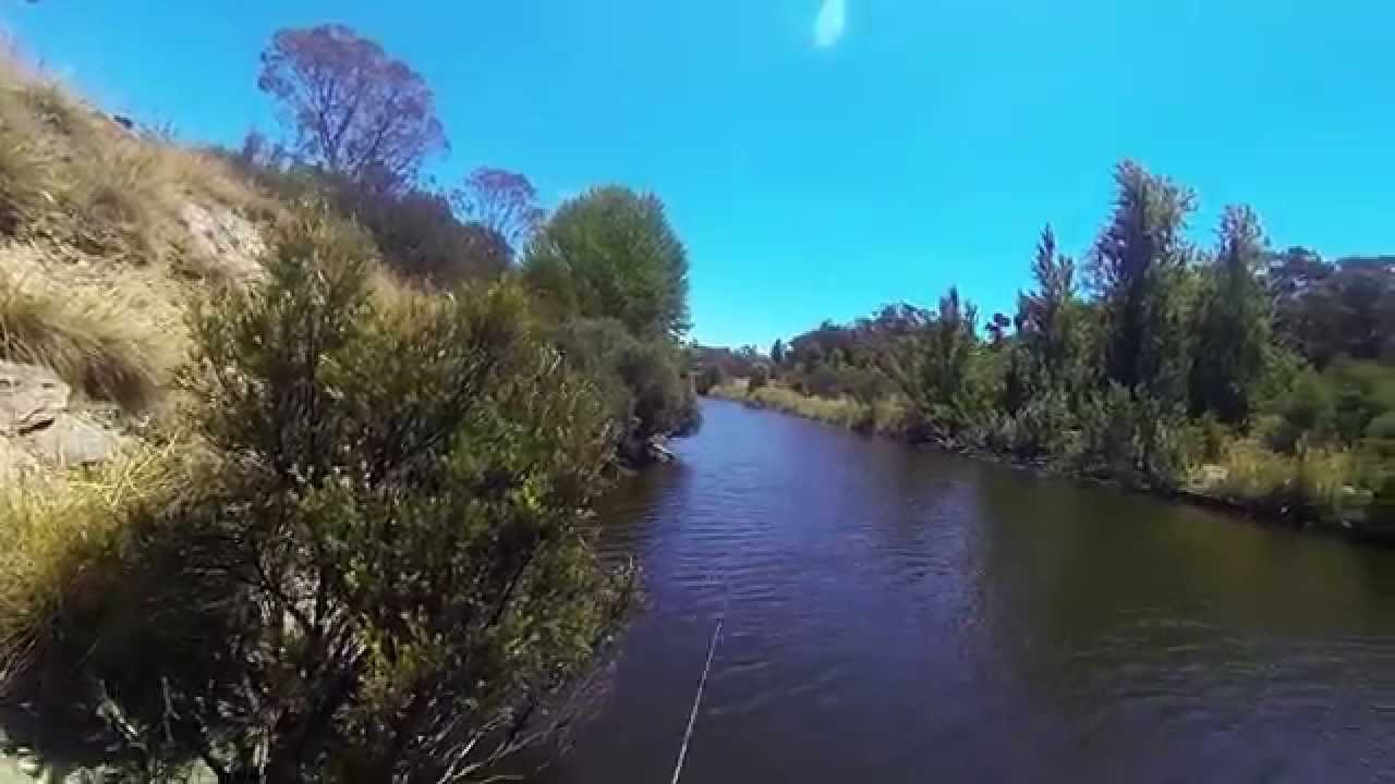 Fishing the queanbeyan river 26th Jan 2014 YouTube