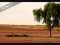 Mansoor Malangi مینوں تیرے جیا سوھناں ھور لبدا ن Mansoor Malangi مینوں تیرے جیا سوھناں ھور لبدا ن