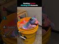 Ranking Cutest Glowing Cat Moments