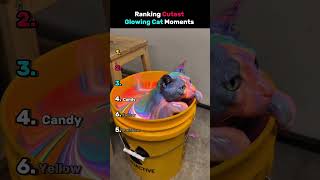 Ranking Cutest Glowing Cat Moments