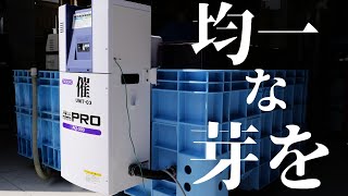 新、催芽機紹介