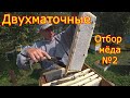 ДВУХМАТОЧНЫЕ! Отбор МЁДА №2  Как сработали на медосборе!