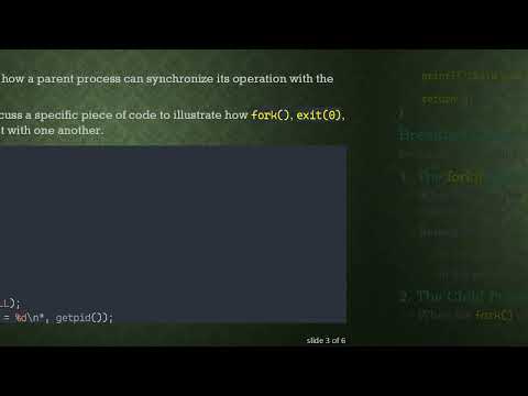 Understanding fork(), exit(0), and wait(NULL) in C Programming