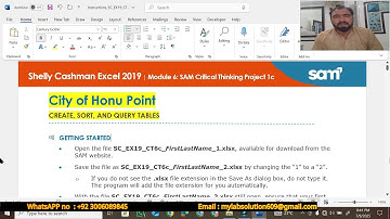 Excel Module 6 SAM Kritisch Denken Project 1c Stad Honu Point | Stad Honu Point