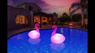 Inflatable Floating Flamingo light