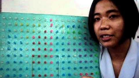 How to use Geoboard in finding the perimeter