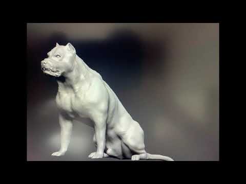 3D Model Pitbull At 3Dexport.Com