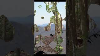 The Girl With the Black Velvet Band sung WFT #shorts #music #oldmusic #publicdomainmusic #nature