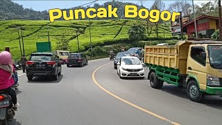 Puncak Bogor || View Jalan Raya Puncak || Keindahan Alam