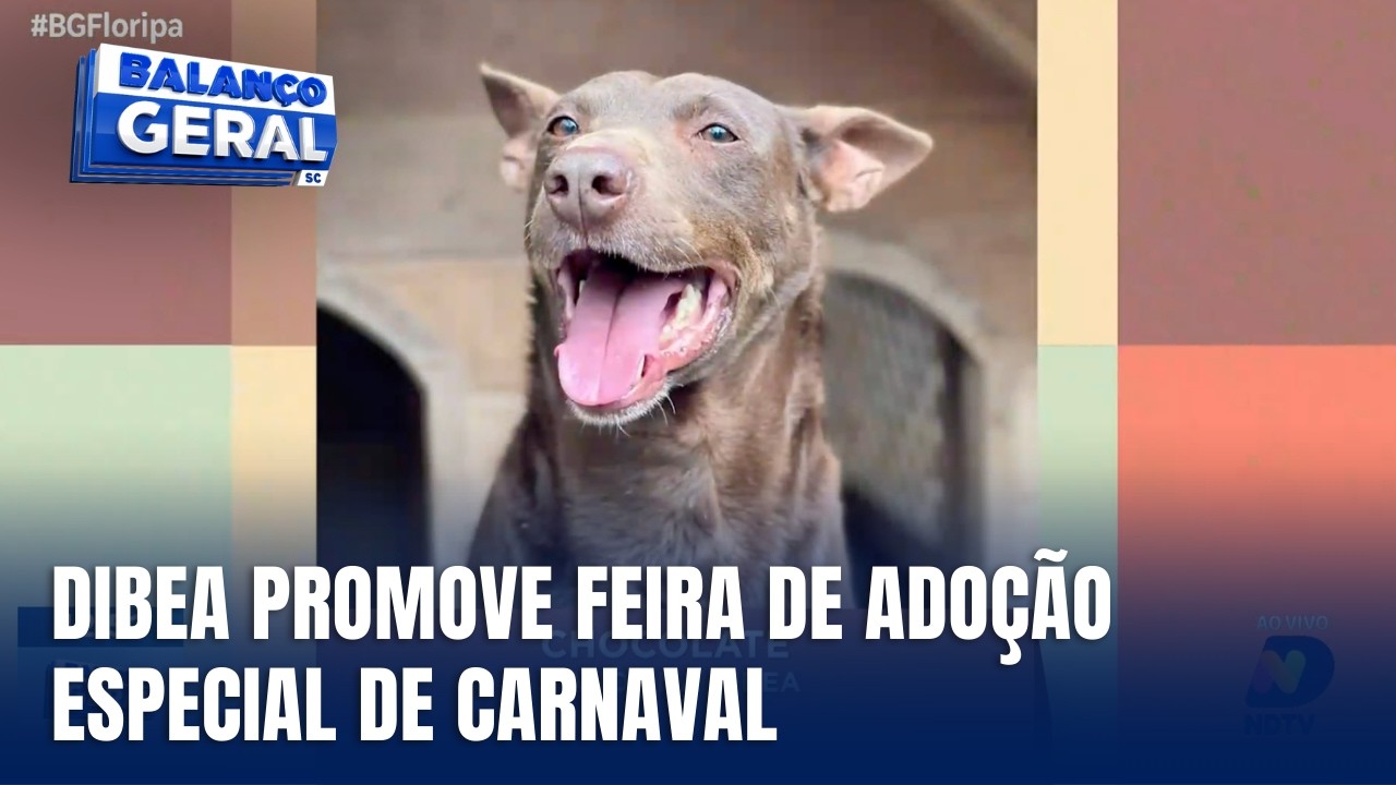 Dibea promove feira de adoção com 250 animais