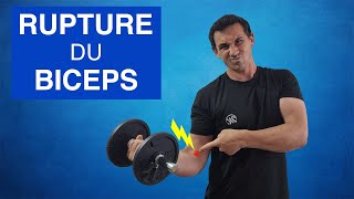 Rupture Distale Du Tendon Du Biceps Traitements Et Exercices Kiné