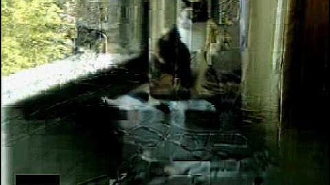 [TEST] Video phone (Sipdroid 1.5Beta) with HTC Hero over WIFI