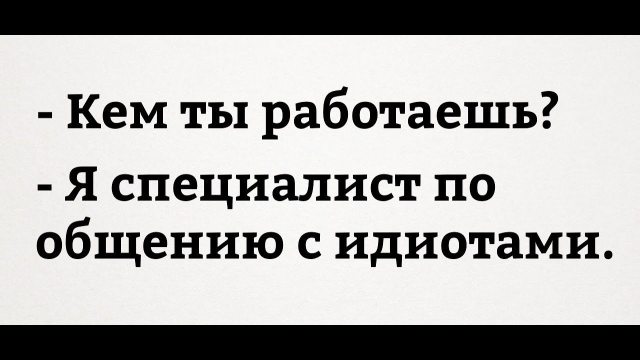люди вокруг идинаховые. сложно стало работать. сложно стало работать. кот на работе. сложно стало работать.