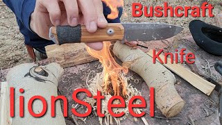 lionSteel B41 Bushcraft Knife Workout. Knife test.