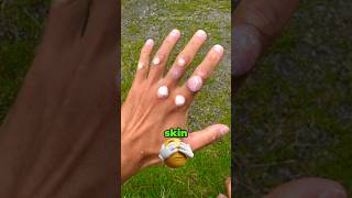 He Destroyed His Hands Just to Make Them Stronger 👊 #shorts #usa #viral