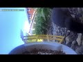 #birdfeeder falling with crazy birds and chipmunks that follow