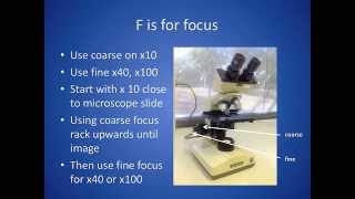 How to set up a microscope