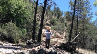 Michael Shaw - Forest Improvisations Part 4