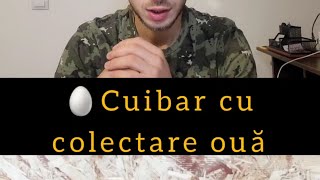 🐓 Găina mănâncă ouăle🥚? Vezi cuibar cu spațiu de colectare a ouălor 🥚