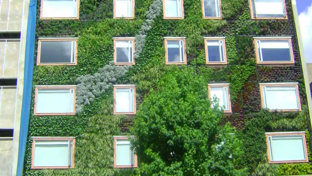 de un Jardin Vertical - YouTube