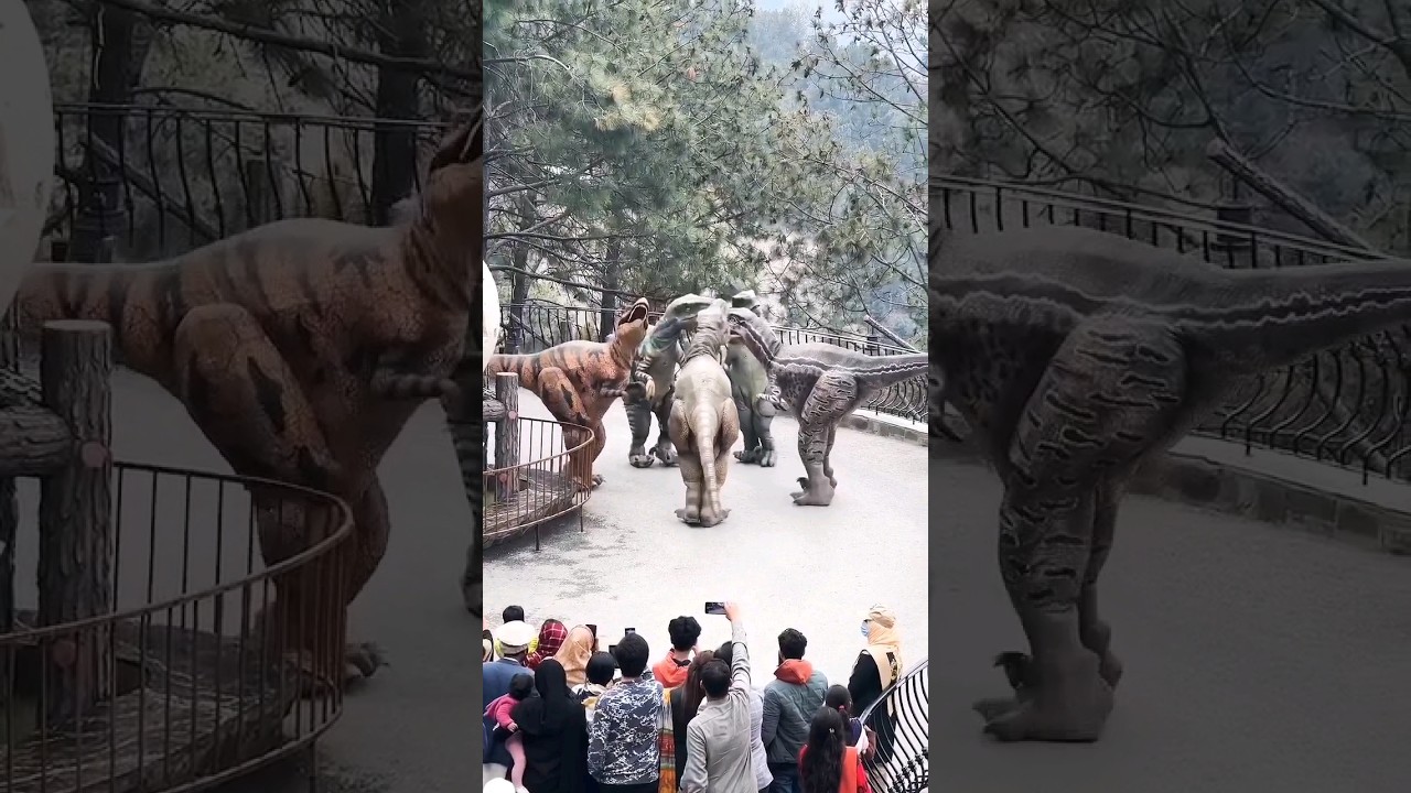 Dino Velly | Dino Dance 