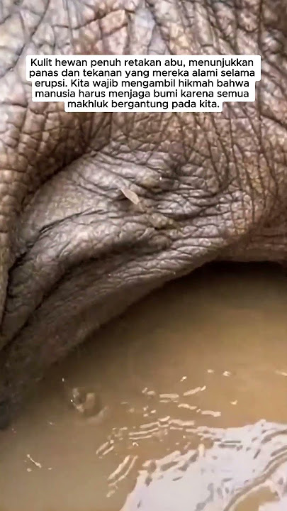 TERKURUNG LUKA #viral