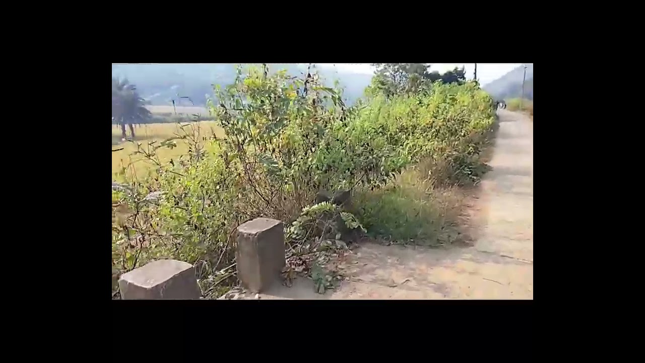 Duarsini Eco tourism area plot sell